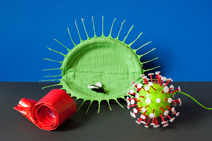 Fliegen fangen: Spielzeug-Idee von Johanna Diepenbrock